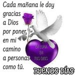 Graciela De Abrego - @gracieladeabrego - Instagram