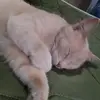 ☆gracielaacunaflorez - @graciela_2828 - TikTok