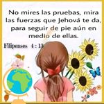 Graciela Ballesteros - @yamiletballesteros_82 - Instagram