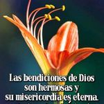 Graciela Ballesteros - @graciela.ballesteros - Instagram