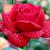 Graciela Bruno - Facebook