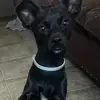 Graciela Ceja - @graciela.ceja802 - TikTok