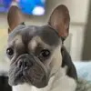 Graciela Ceja - @gracieceja1 - TikTok