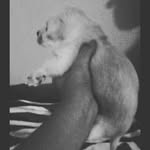Graciela Centeno - @centeno7489 - Instagram