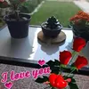 Graciela Aurea Maris - @gracielamariscal3 - TikTok