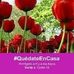 Graciela Mariscal - Facebook