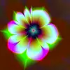 Graciela Marrancone - @graciela.marranco - TikTok