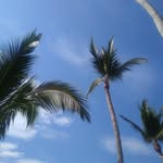 Graciela Monroy - @grac.ielamonroy - Instagram