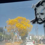 Graciela Muñiz - @graciela.muniz.9699 - Instagram