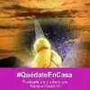 Graciela Negrete - @graciela.negrete97 - TikTok