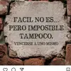 Graciela Negrete - @gracielanegrete4 - TikTok