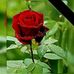Graciela Olvera - Facebook