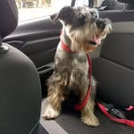 Graciela de la Puente - @gracieladela.puente - Instagram
