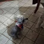 Graciela Puente - Facebook
