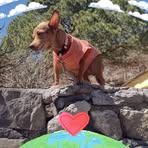 Graciela Puente - Facebook
