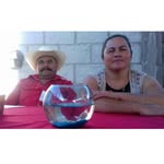 Graciela Trejo - @graciela.trejo.58173 - Instagram