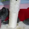 Graciela Trejo - @michi.347 - TikTok