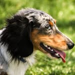 @grady_blue - Instagram