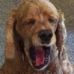 Grady Britt - Facebook