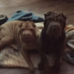 Grady Britt - @grady.britt.9 - Instagram