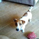 Grady Buckhanan - @buckhanangrady - Instagram