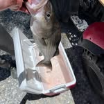 Scott grady buck - @scottgradybuck - Instagram