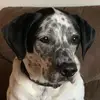 gradycainlover - @gradycainlover - TikTok