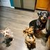 Victoria Grady-Cain - Facebook