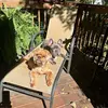 grady.shields - @grady.shields - TikTok