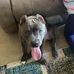 Grady Donaldson II - Facebook