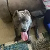 gradydonaldson - @gradydonaldson - TikTok
