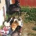 Grady Ferguson - Facebook