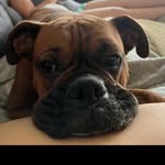 Grady Franklin - @gradyfranklin20 - Instagram