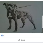 Grady Gordon - @gr.ady2545 - Instagram