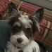 Grady Graham - Facebook