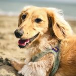 Grady Wayne Graham - @yourstrulydaween - Instagram
