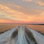 @gradyguy53 - Instagram