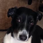 Grady Haley - @grady_haley - Instagram