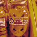 Grady Harper - @pickled_pig_snouts - Instagram