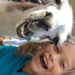 Grady - @grady_hartman - Instagram