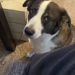Grady Hartman - Facebook