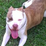 Grady Hatcher - Facebook