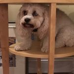 Gradyhayes - @gradyhayes11 - Instagram