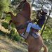 Grady Hinton - Facebook