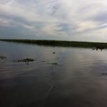 Grady Kerr - @gdkerr5377 - Instagram