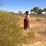 Lawrence Grady - @grady.lawrence - Instagram