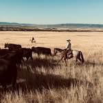 Grady Longwell - @gradylongwell - Instagram
