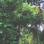 grady lowe - @lowe3393wg - Instagram