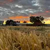 gradylowery778 - @gradylowery778 - TikTok