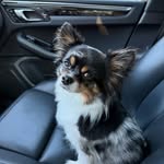@rydermaxwellgrady - Instagram